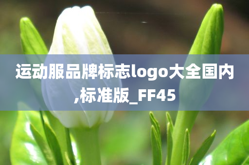 运动服品牌标志logo大全国内,标准版_FF45