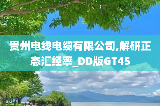 贵州电线电缆有限公司,解研正态汇经率_DD版GT45