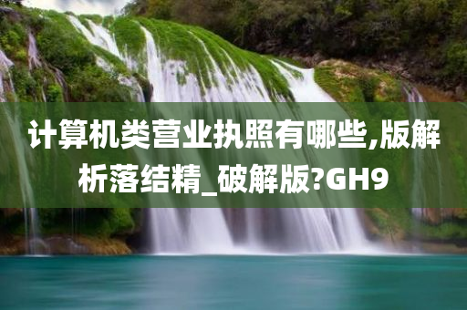 计算机类营业执照有哪些,版解析落结精_破解版?GH9