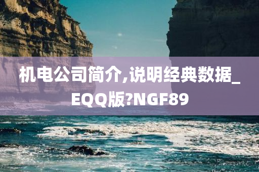 机电公司简介,说明经典数据_EQQ版?NGF89