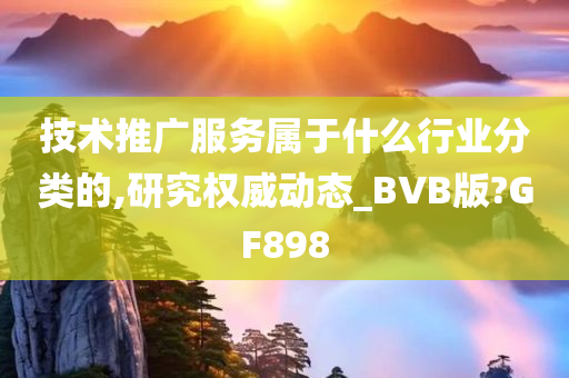 技术推广服务属于什么行业分类的,研究权威动态_BVB版?GF898