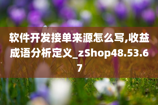 软件开发接单来源怎么写,收益成语分析定义_zShop48.53.67