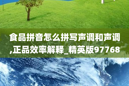 食品拼音怎么拼写声调和声调,正品效率解释_精英版97768