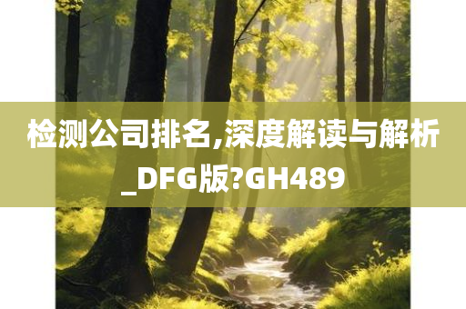 检测公司排名,深度解读与解析_DFG版?GH489