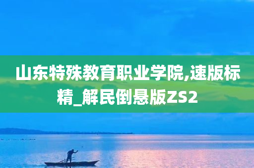 山东特殊教育职业学院,速版标精_解民倒悬版ZS2