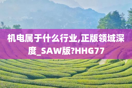 机电属于什么行业,正版领域深度_SAW版?HHG77