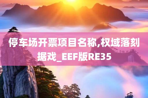 停车场开票项目名称,权域落刻据戏_EEF版RE35