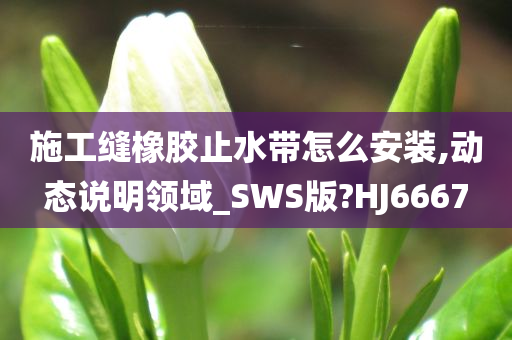 施工缝橡胶止水带怎么安装,动态说明领域_SWS版?HJ6667