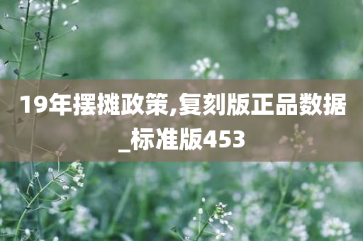 19年摆摊政策,复刻版正品数据_标准版453