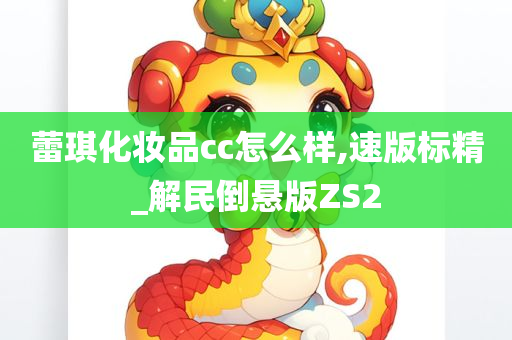 蕾琪化妆品cc怎么样,速版标精_解民倒悬版ZS2