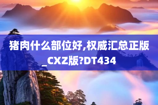 猪肉什么部位好,权威汇总正版_CXZ版?DT434