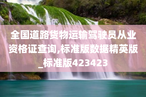 全国道路货物运输驾驶员从业资格证查询,标准版数据精英版_标准版423423