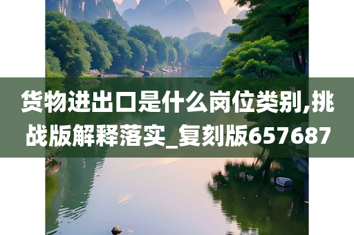 货物进出口是什么岗位类别,挑战版解释落实_复刻版657687