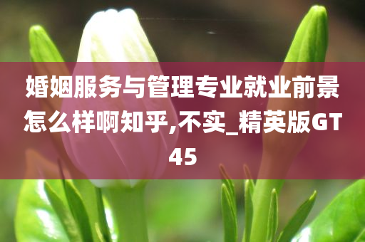 婚姻服务与管理专业就业前景怎么样啊知乎,不实_精英版GT45