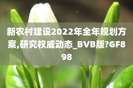 新农村建设2022年全年规划方案,研究权威动态_BVB版?GF898