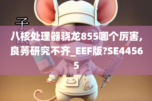 八核处理器骁龙855哪个厉害,良莠研究不齐_EEF版?SE44565