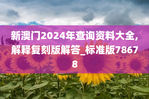 新澳门2024年查询资料大全,解释复刻版解答_标准版78678