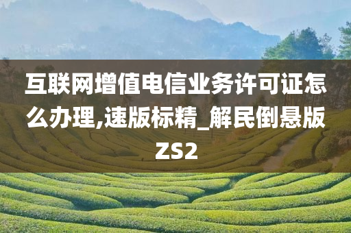 互联网增值电信业务许可证怎么办理,速版标精_解民倒悬版ZS2