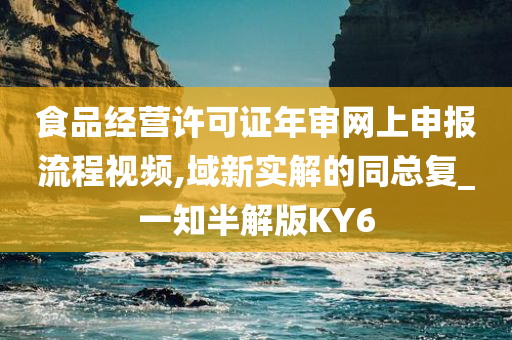 食品经营许可证年审网上申报流程视频,域新实解的同总复_一知半解版KY6