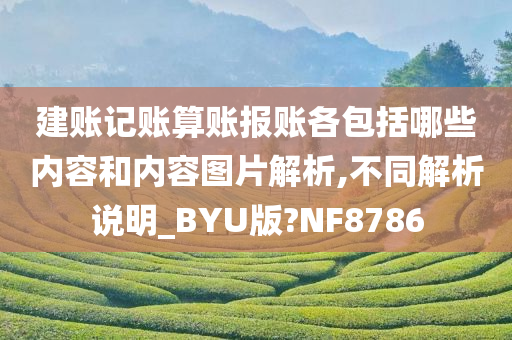 建账记账算账报账各包括哪些内容和内容图片解析,不同解析说明_BYU版?NF8786