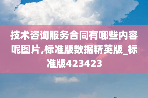 技术咨询服务合同有哪些内容呢图片,标准版数据精英版_标准版423423