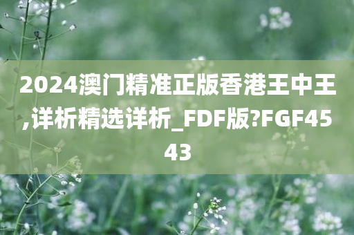 2024澳门精准正版香港王中王,详析精选详析_FDF版?FGF4543