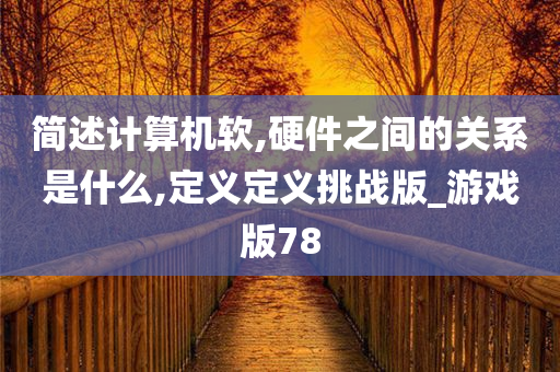 简述计算机软,硬件之间的关系是什么,定义定义挑战版_游戏版78