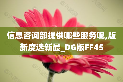 信息咨询部提供哪些服务呢,版新度选新最_DG版FF45