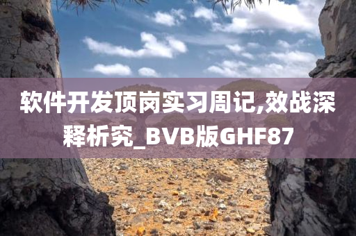 软件开发顶岗实习周记,效战深释析究_BVB版GHF87