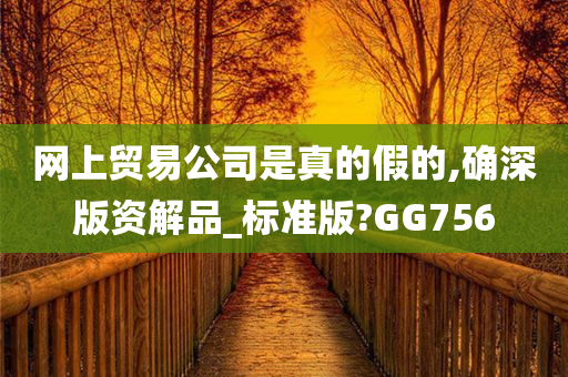 网上贸易公司是真的假的,确深版资解品_标准版?GG756