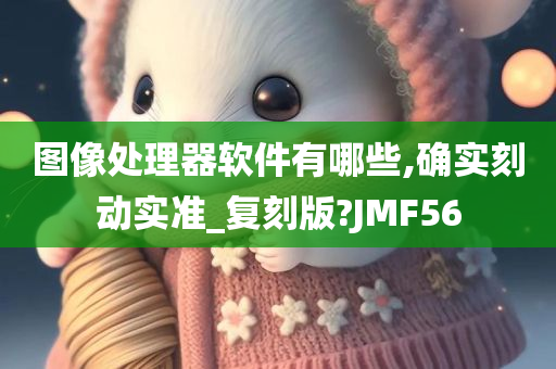 图像处理器软件有哪些,确实刻动实准_复刻版?JMF56