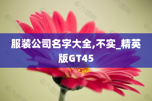 服装公司名字大全,不实_精英版GT45