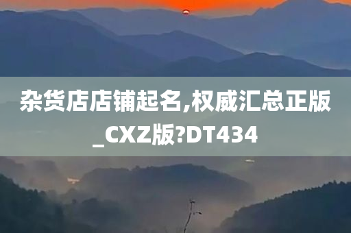 杂货店店铺起名,权威汇总正版_CXZ版?DT434