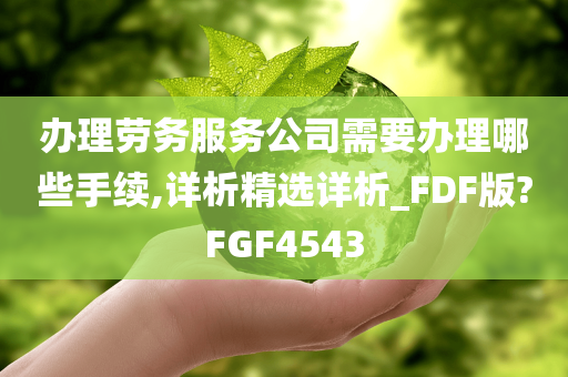 办理劳务服务公司需要办理哪些手续,详析精选详析_FDF版?FGF4543