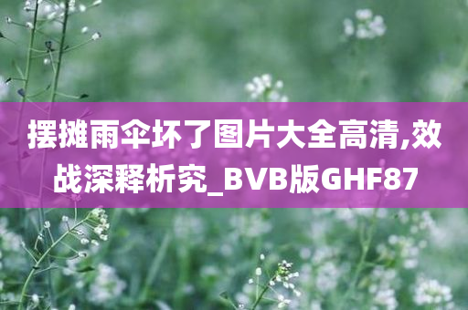 摆摊雨伞坏了图片大全高清,效战深释析究_BVB版GHF87