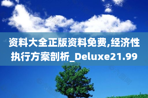 资料大全正版资料免费,经济性执行方案剖析_Deluxe21.99