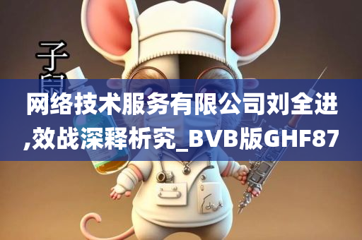 网络技术服务有限公司刘全进,效战深释析究_BVB版GHF87