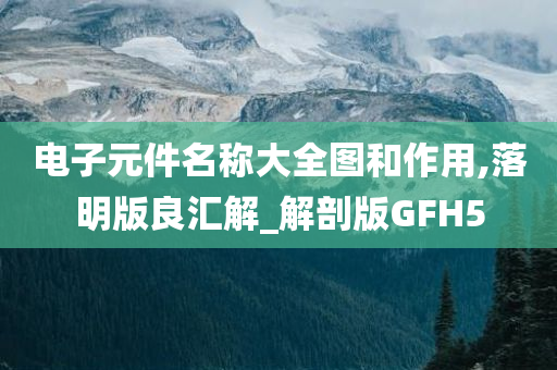 电子元件名称大全图和作用,落明版良汇解_解剖版GFH5