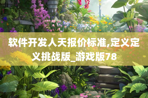 软件开发人天报价标准,定义定义挑战版_游戏版78