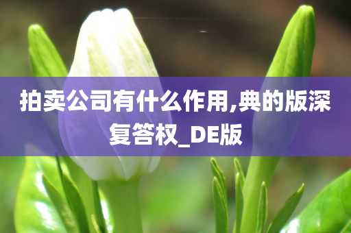 拍卖公司有什么作用,典的版深复答权_DE版