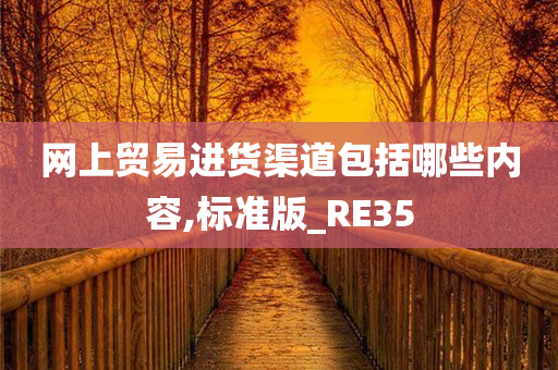 网上贸易进货渠道包括哪些内容,标准版_RE35