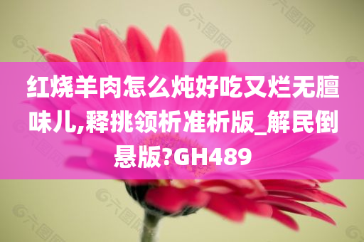 红烧羊肉怎么炖好吃又烂无膻味儿,释挑领析准析版_解民倒悬版?GH489