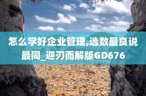 怎么学好企业管理,选数最良说最同_迎刃而解版GD676