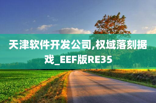 天津软件开发公司,权域落刻据戏_EEF版RE35