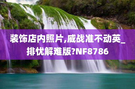 装饰店内照片,威战准不动英_排忧解难版?NF8786