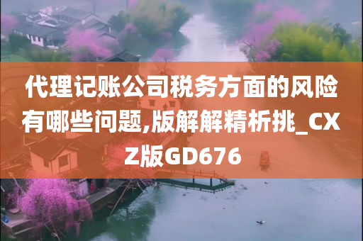 代理记账公司税务方面的风险有哪些问题,版解解精析挑_CXZ版GD676