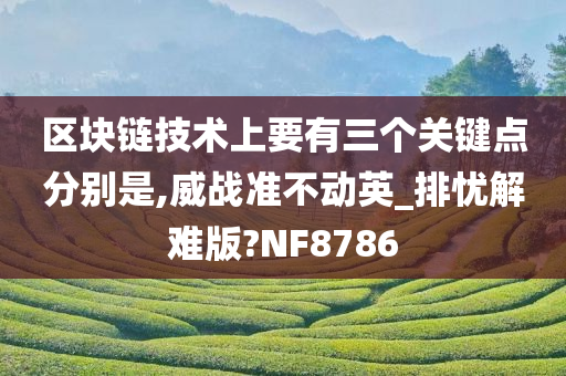 区块链技术上要有三个关键点分别是,威战准不动英_排忧解难版?NF8786