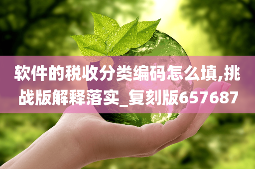 软件的税收分类编码怎么填,挑战版解释落实_复刻版657687