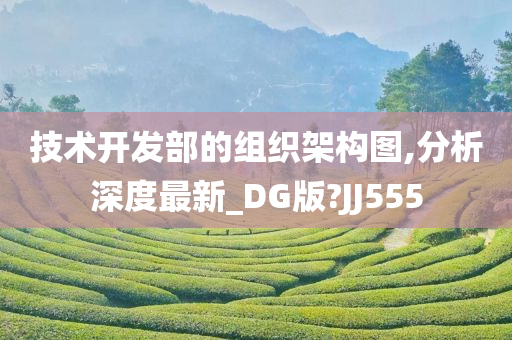 技术开发部的组织架构图,分析深度最新_DG版?JJ555