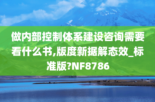 做内部控制体系建设咨询需要看什么书,版度新据解态效_标准版?NF8786